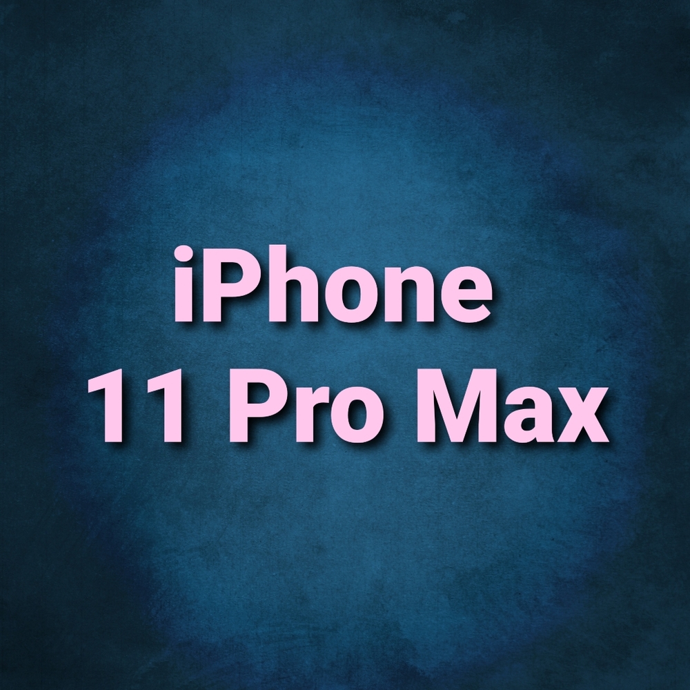 iPhone 11 Pro Max Silicone case